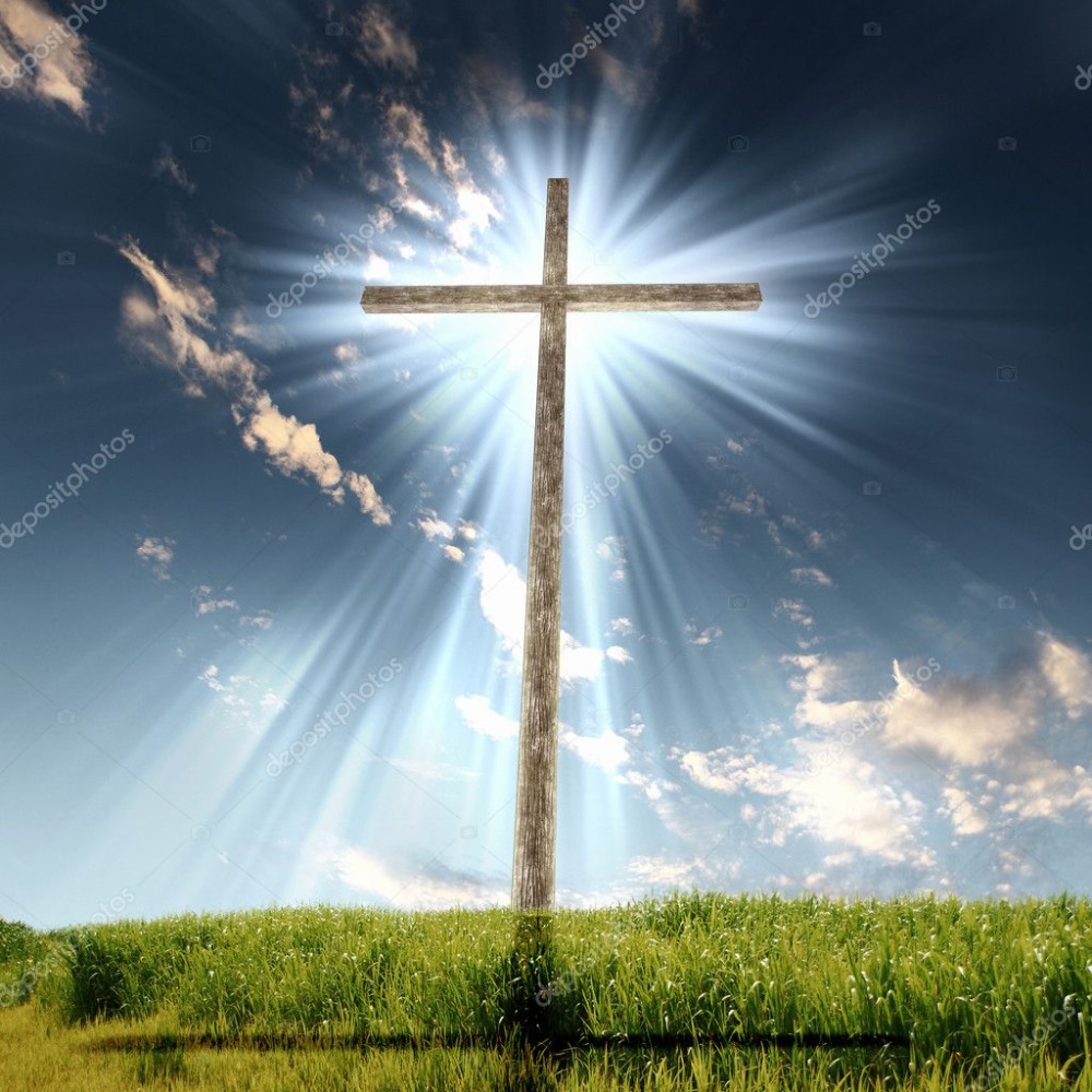 Meet your Posher, Wanda